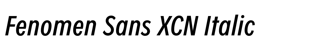 Fenomen Sans XCN Italic